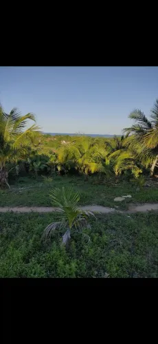 Vendo terreno na ilha de Itaparica 
