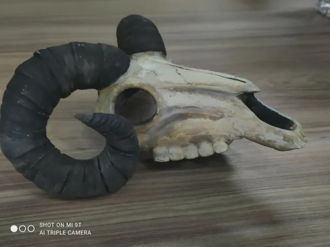 2 crânios artesanais