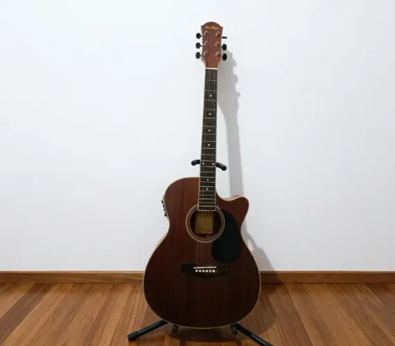 Violão Eletroacústico Di Giorgio - F102