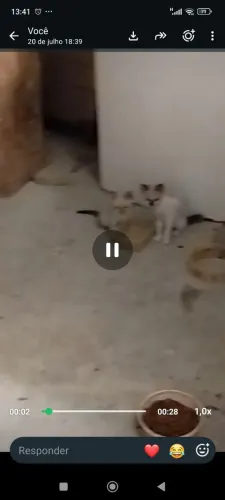 Doação 