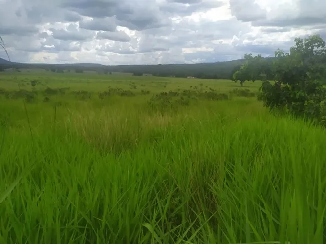 Fazenda de 87 alqueires em Israelândia-GO