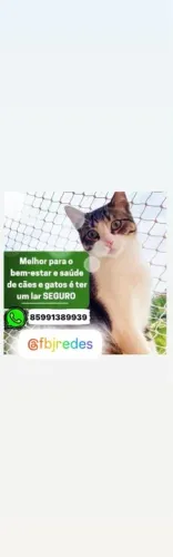Redes de proteção