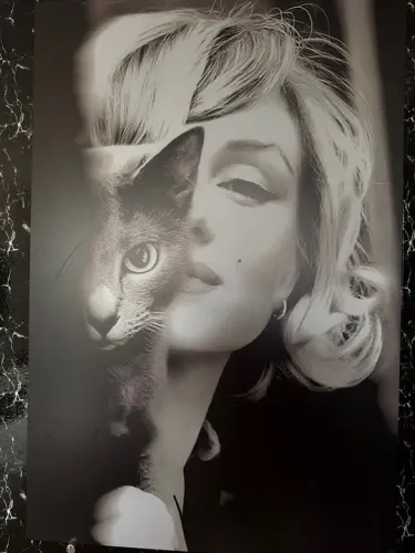 Quadro Marilyn Monroe
