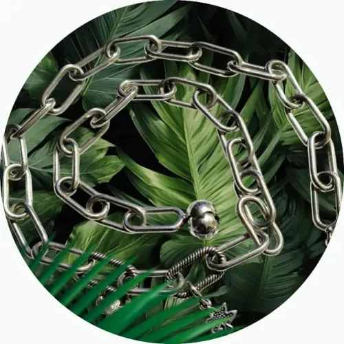 Colar De Prata Polida De Corrente De Links Pandora Me