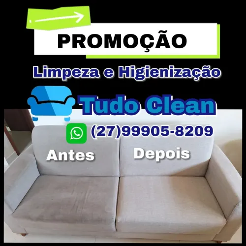  Seu Pet Sujou? A Gente Resolve! Sofa