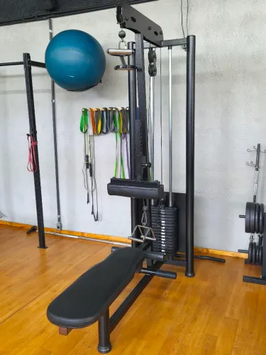 Pulley (puxada e remada baixa) academia
