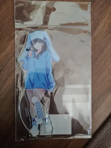 Acrílico Gridman Universe Rikka Takarada Original