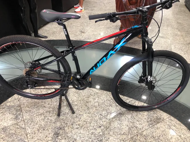 Bicicleta audax