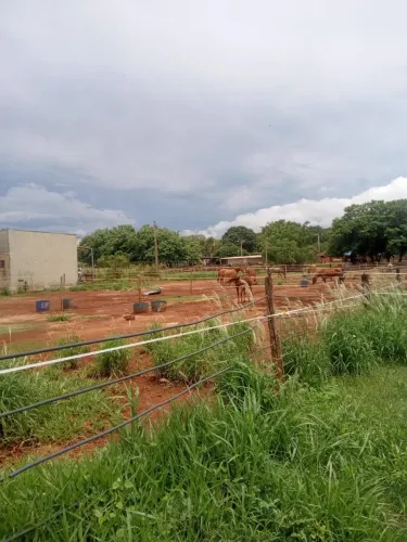 Area no Recreio Anhanguera | Só aqui na Rosa e Rangel Consultoria e Assessoria Imobiliária