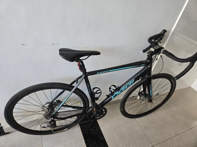 Oggi Velloce Disc 2019