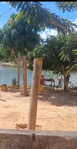 Chácara em Jaci Paraná - 4 Tanques de Peixe, Mina d'Água e Casa Completa