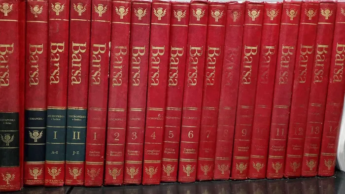 Decore o escritório! 18 Volumes Barsa 1997 Enciclopédia 