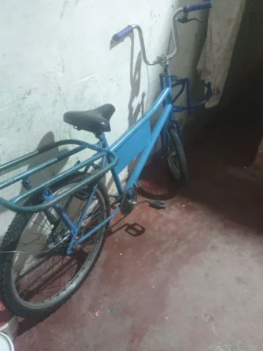 Bicicleta cargueira 
