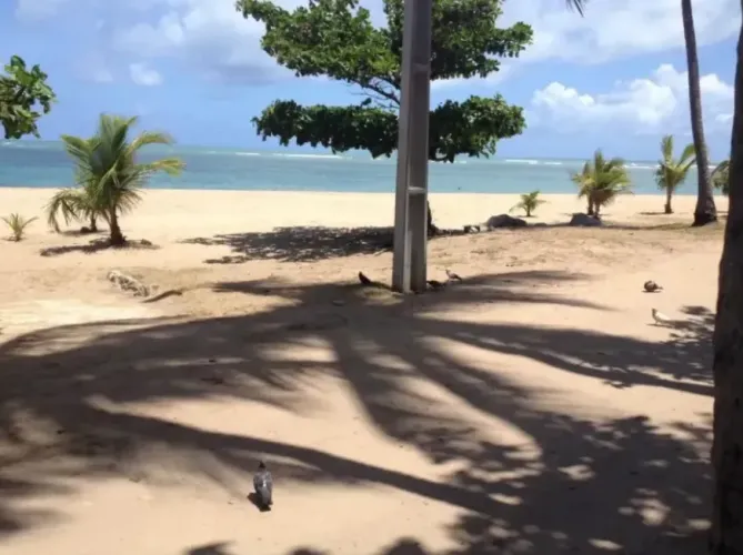 Lote para Venda em Jaboatão dos Guararapes, Centro