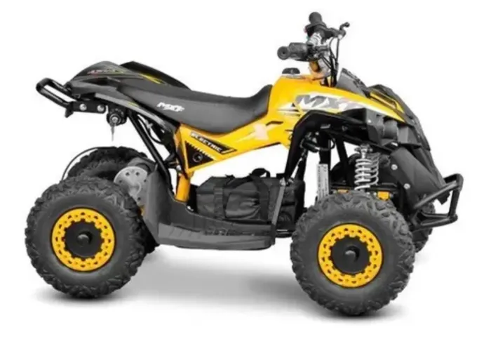 Quadriciclo thor 1000w
