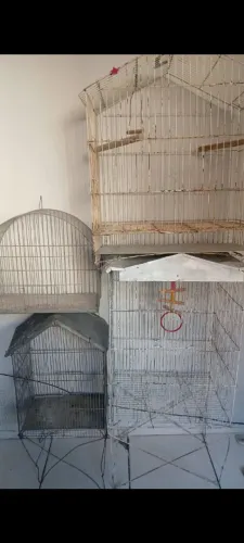 Gaiola