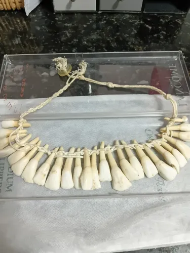 Colar de dente de animal