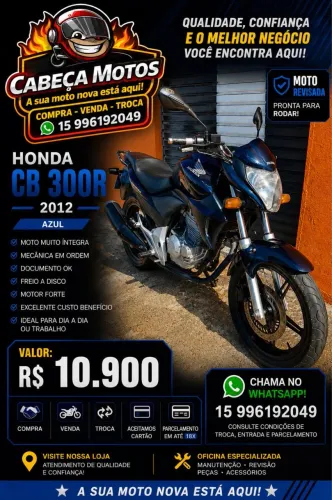 CB 300 2011