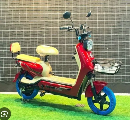 Scoter 