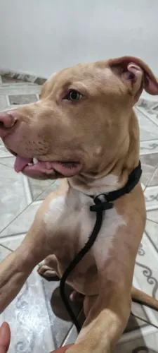 Pit monster