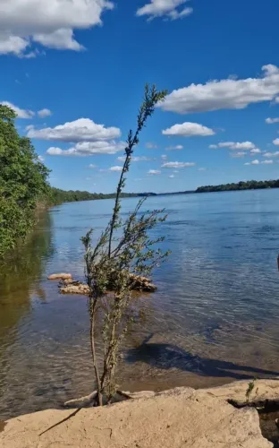 Vendo 2.5 alqueires na beira do rio Tocantins
