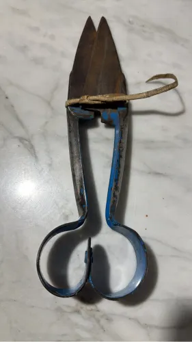 Tesoura de Esquila sem marca