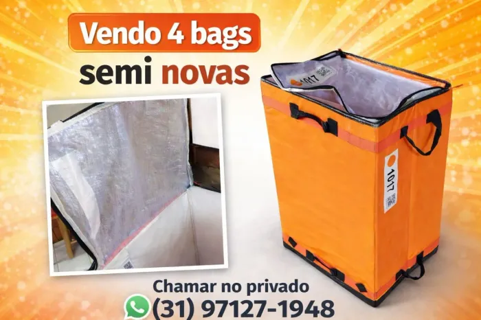 Vendo Bags semi novas 180,00 cada uma