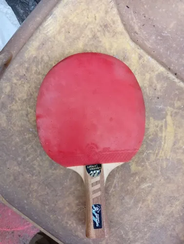 Raquete de ping pong Giant Dragon
