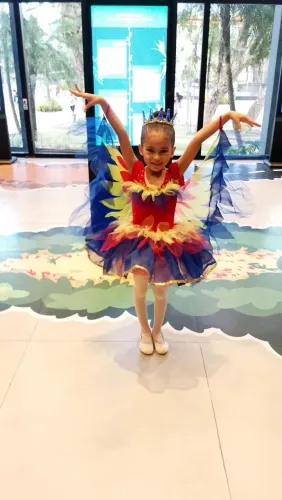 Vendo fantasias de ballet