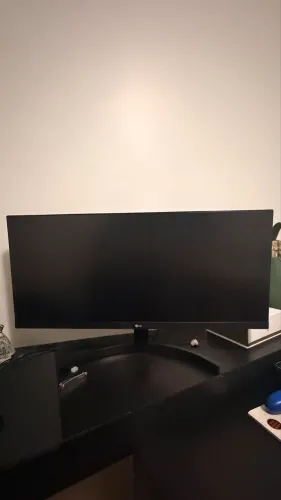 Monitor LG ultrawide 29?