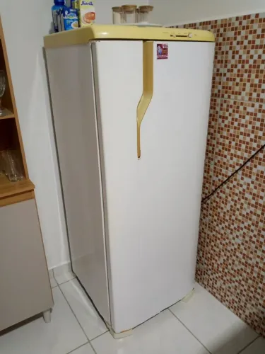 Geladeira Electrolux 260 litros