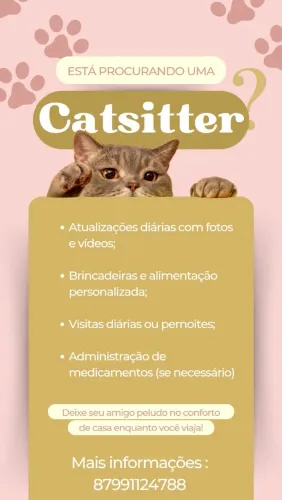 Babá gatos