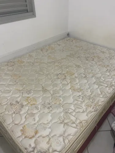 CAMA