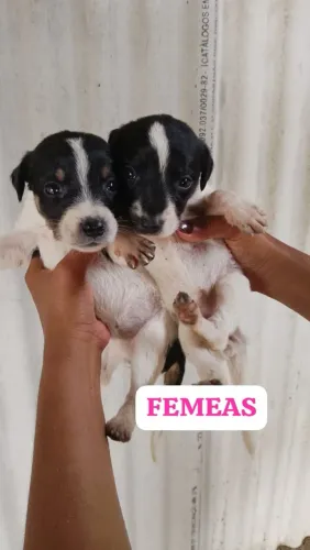 Doação 
