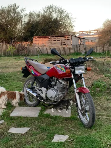 Vendo cbx strada