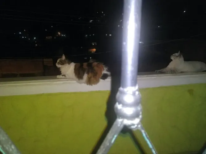 Ferramentas