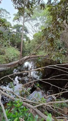 Lote à venda em rua pública, CAETÉ-AÇU, Palmeiras, BA