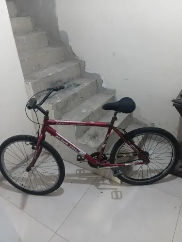 Bicicleta comum 