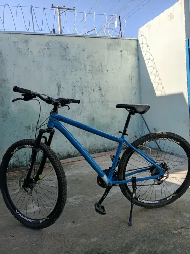 Bicicleta 29