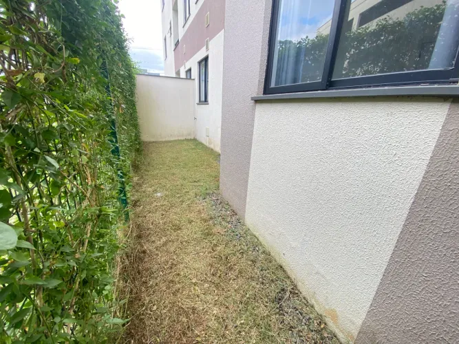 Grama e jardim