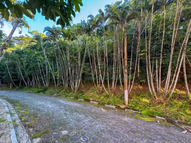 Terreno com vista mar no Morro Sorocotuba na Enseada, Guarujá
