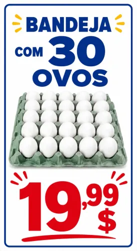 Bandeja 20 reais