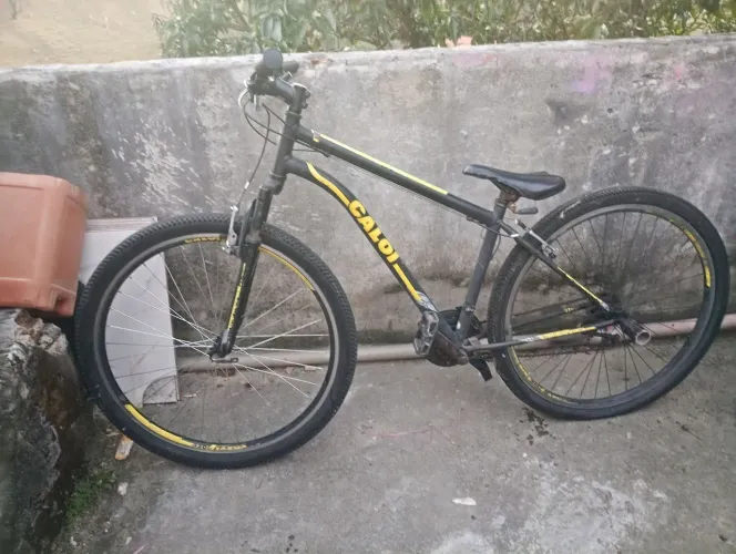 Bicicleta aro 29