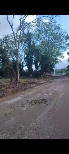 Terreno em Tinguá enorme de frente e fundos.