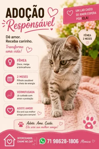 Gata filhote 