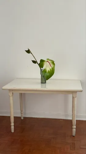 Mesa de jantar de madeira maciça