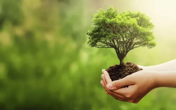 Área para compensação ambiental 