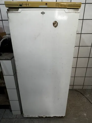 Freezer Brastemp Frost Free 260L