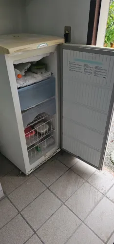 Freezer Eletrolux F-170