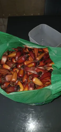 Chácara a venda em quitandinha